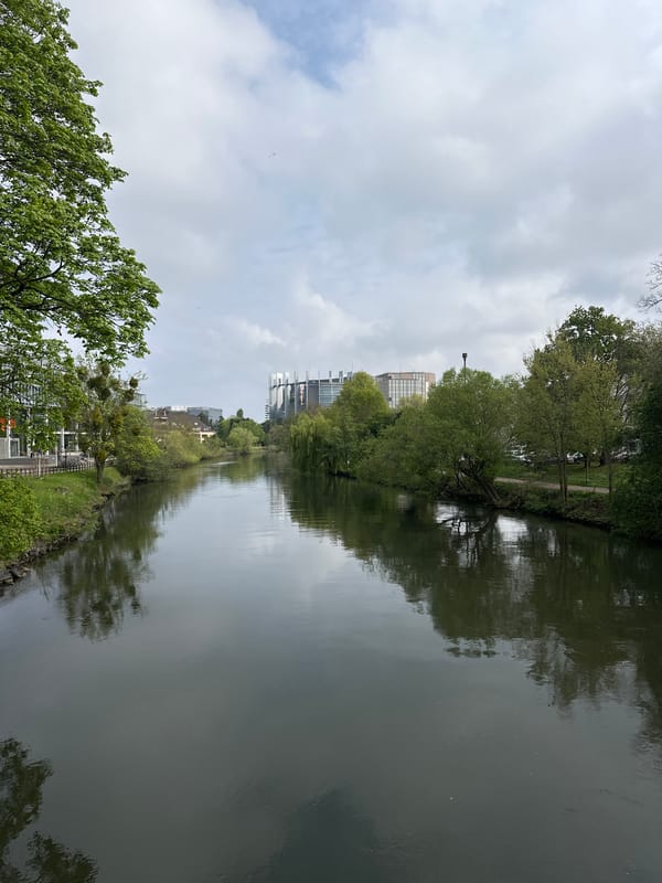 Morning pedestrian activity captured along Strasbourg waterways, residential streets