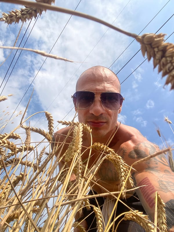 Creative field shoot with wheat and sunflowers near Pleven