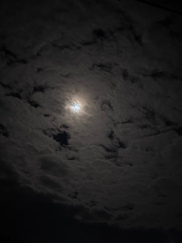 Evening observations in Zlatograd capture sky and street conditions