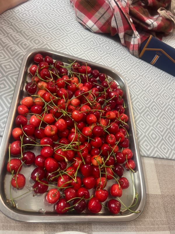 Morning scenes from Dharamshala: cherries, schoolchildren, memorial, local life
