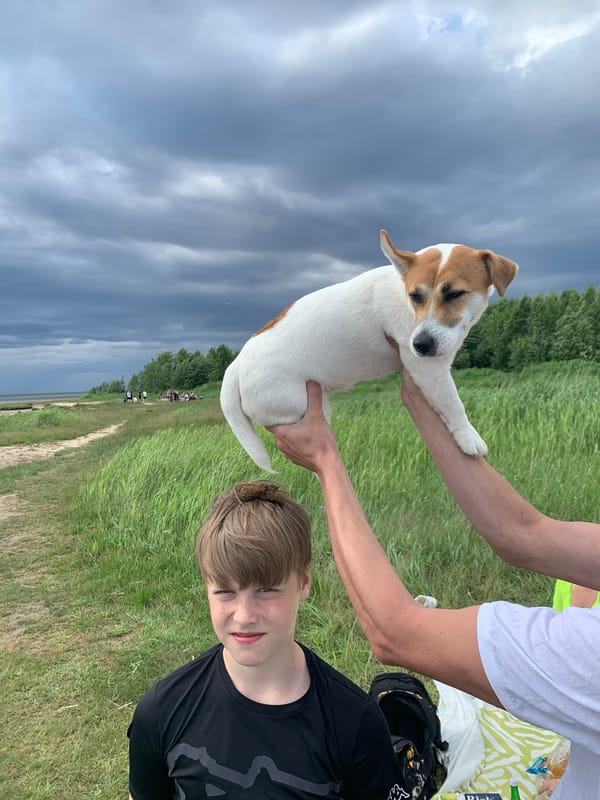 Cloudy summer day by the water in Severodvinsk, dog in tow