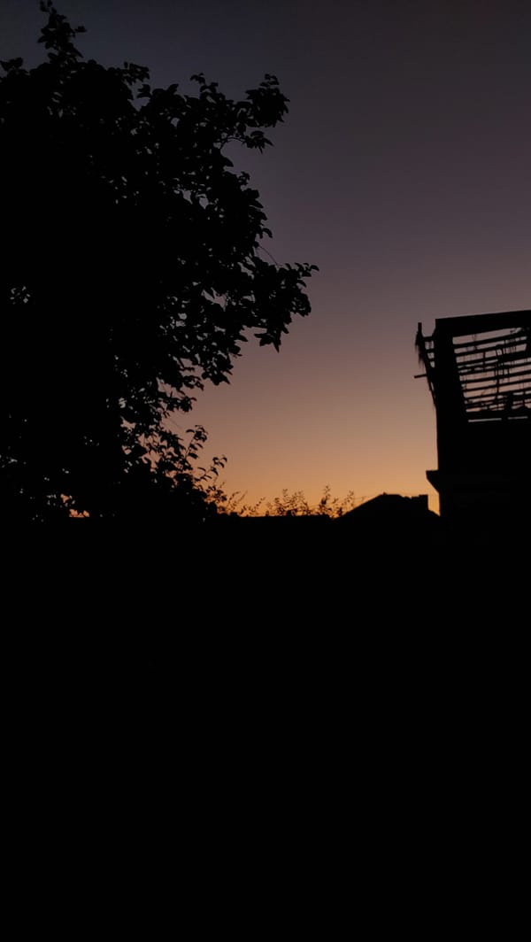 Twilight nature details and string lights in Mukachevo