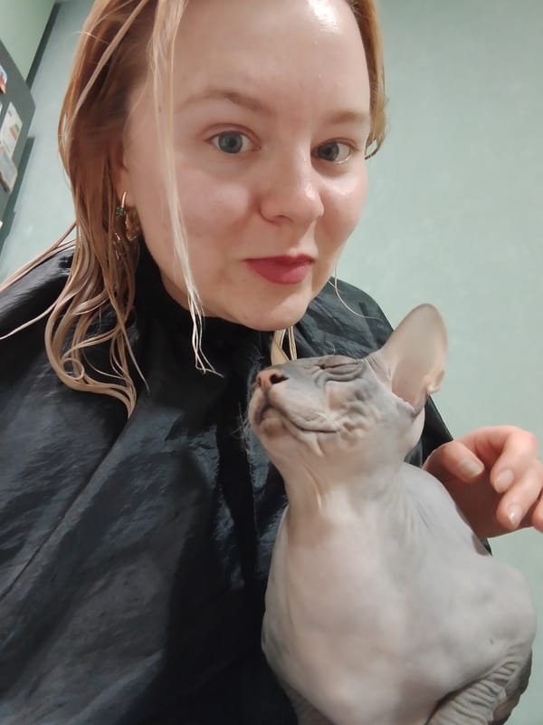 Izhevsk residents share quiet evening with pets and wine