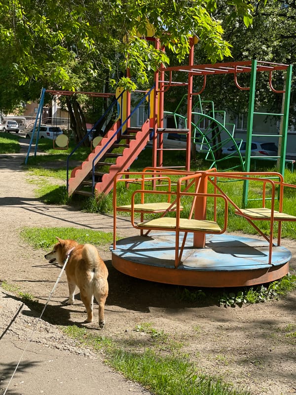 Spring morning scenes documented in Zheleznogorsk, Russia