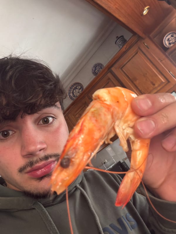 Casual moments captured in northern Portugal: cooking, nature observation