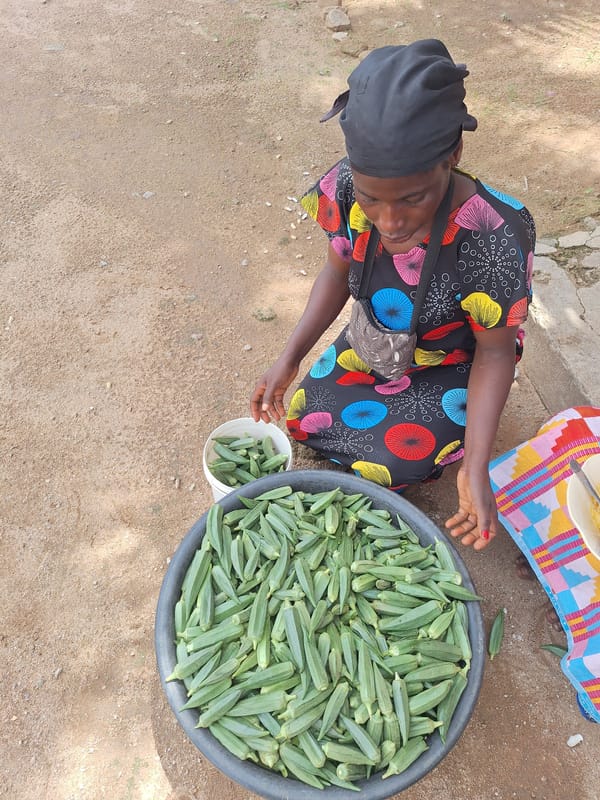 Women sell okra, mangoes at Sabon Tasha market