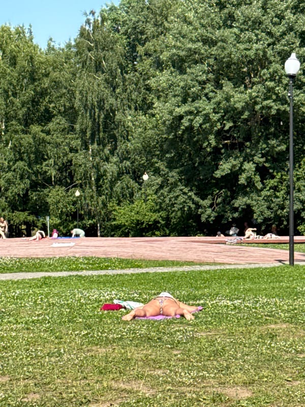 Sunny afternoon at a busy urban park with sports and leisure