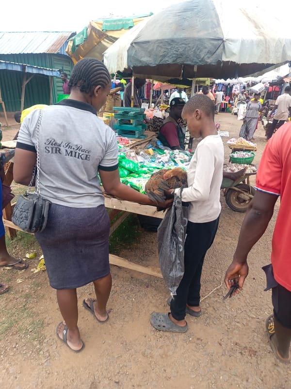 Morning market activity captured in Akwanga, Nigeria
