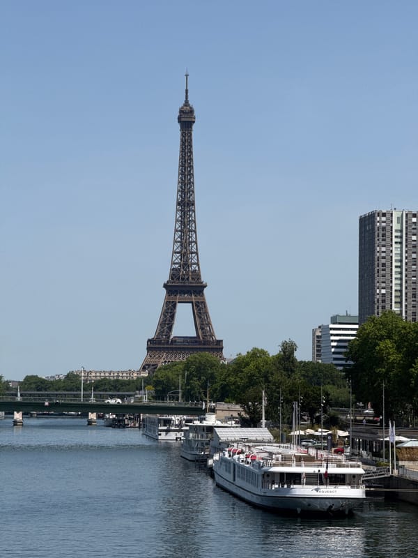 Tourist captures classic Paris views including Eiffel Tower, Seine