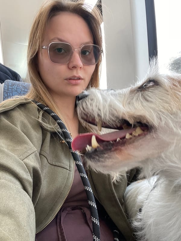 Woman takes selfie with dog on Tel Aviv public transport