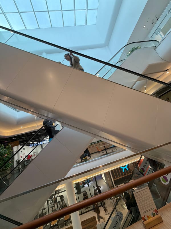 Witness documents Moscow shopping center interiors, skylights