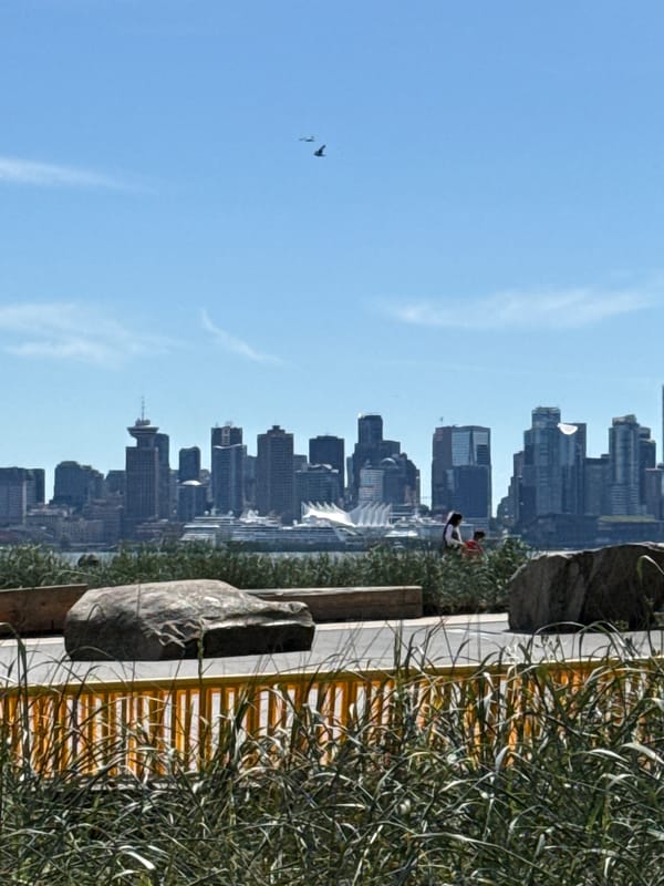 Vancouver skyline framed by grasses and rocks from North Vancouver shore