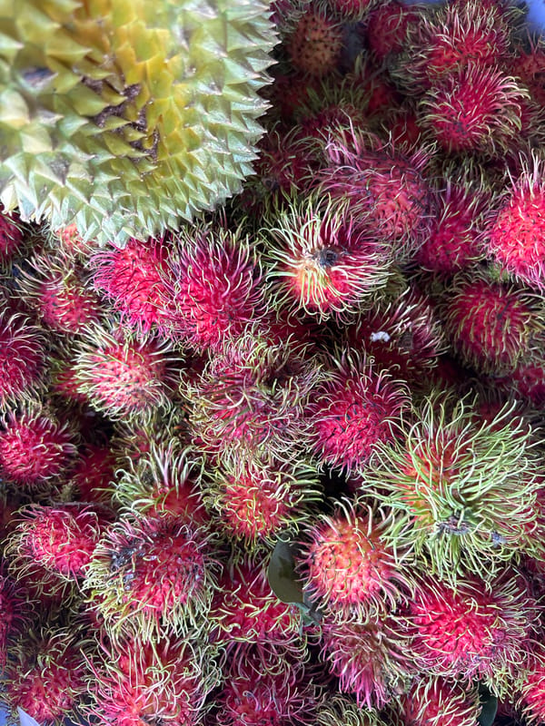 Street market scenes and tropical fruit in Nha Trang