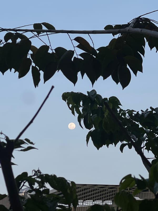 Quiet domestic moments and moon viewing captured across Vietnam
