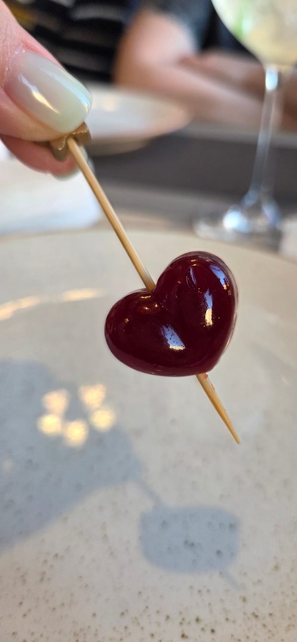 Diner documents meal experience at Lipetsk restaurant