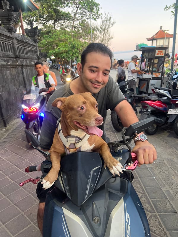 Man and dog ride Yamaha scooter in Kuta