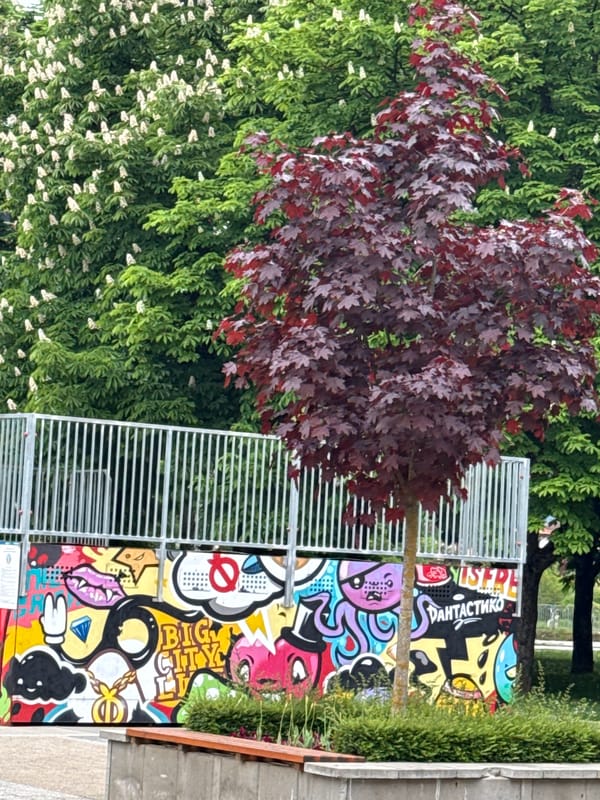 Spring morning walk through Botevgrad parks and monuments documented