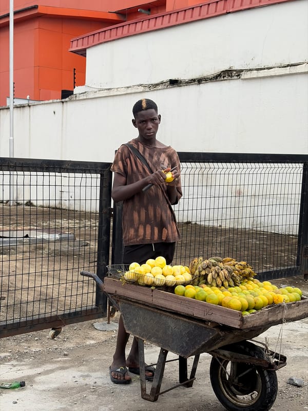 Young vendor with fruit wheelbarrow spotted in Igboefon, Nigeria