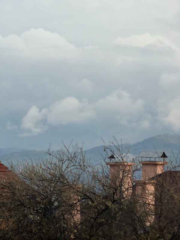 Quiet domestic afternoon captured in Velingrad home scenes