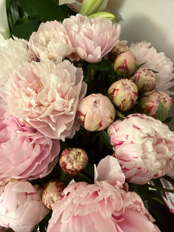Pink and white peony bouquet photographed in London evening