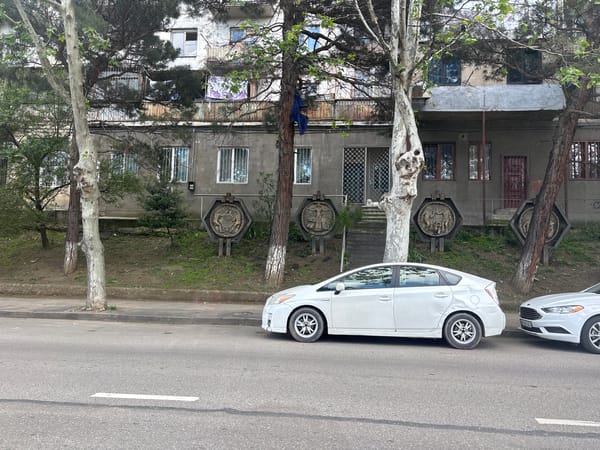 Woman in leather jacket spotted in car in Tbilisi
