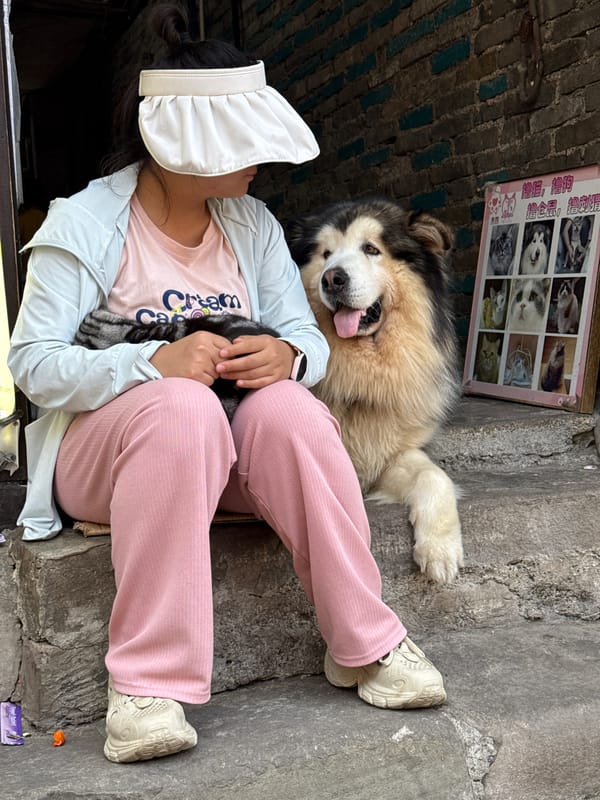 Chef rests on street with dog in Chongqing district