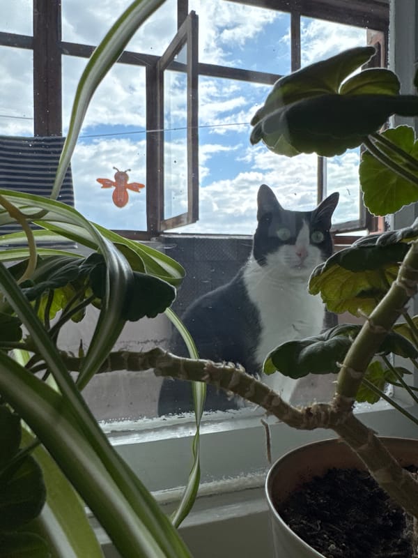 Morning scenes documented across Chaikovsky, Russia by single witness