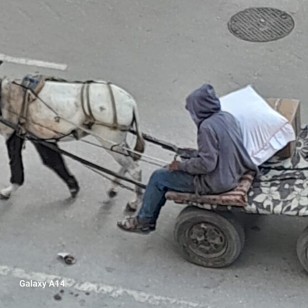 Daily life continues in Khan Yunis streets amid ongoing destruction