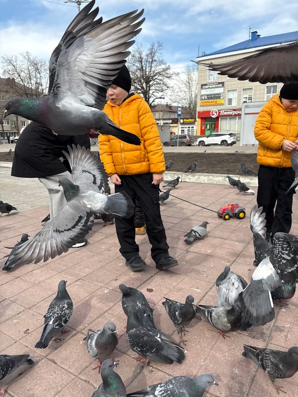 People feed pigeons in Ulyanovsk public square