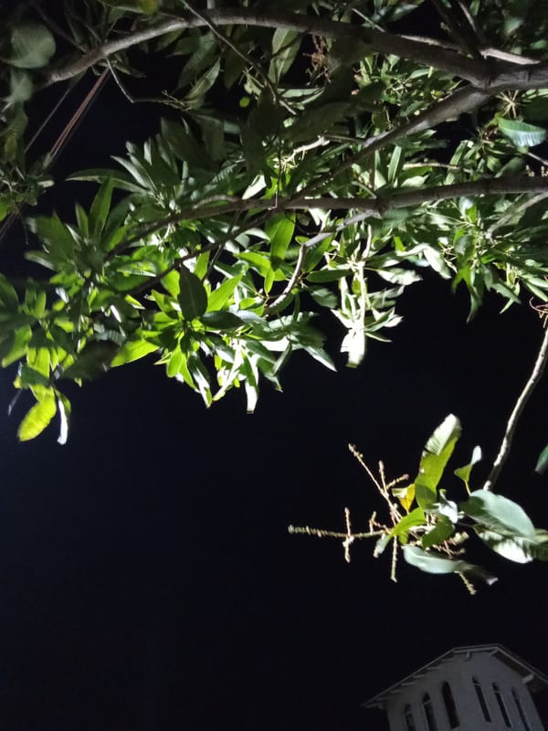 Twilight scenes documented across Juan Griego, Venezuela over 22 minutes