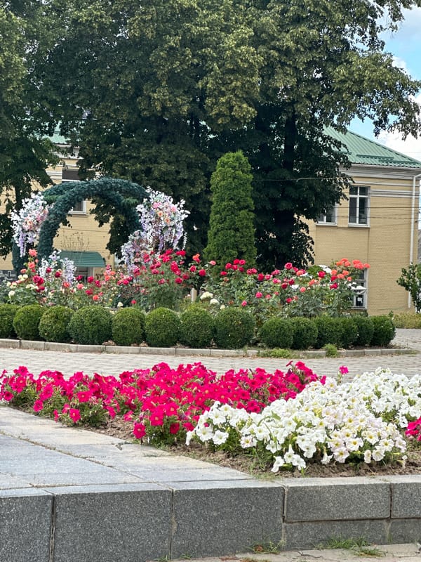 Zvenyhorodka's streets, parks, and SpongeBob topiaries on a July morning