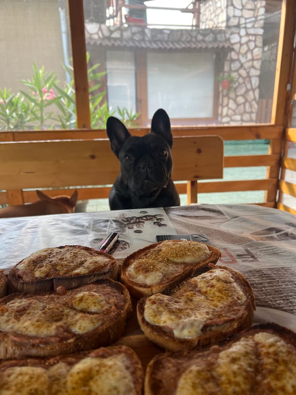 Lazy morning at home with a French bulldog and breakfast spread