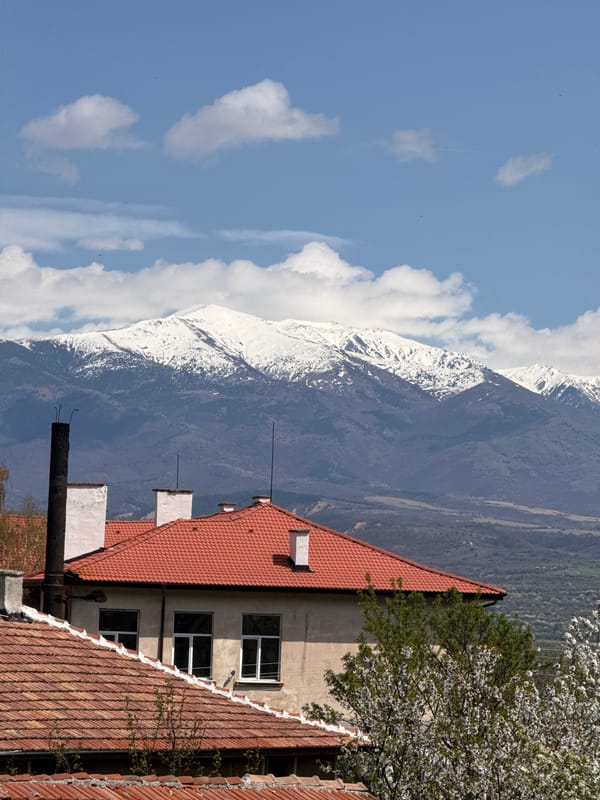 Spring blooms contrast with snowy peaks in Boboshevo, Bulgaria
