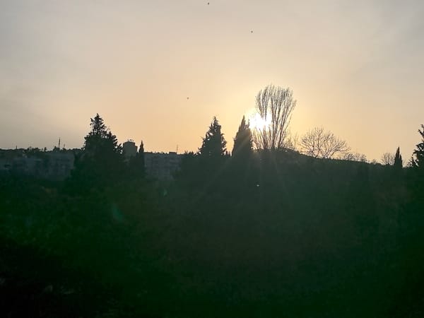 Sunset and floral art observed near Stara Zagora