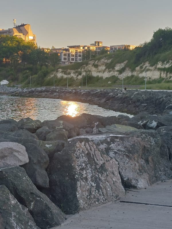 Dog spotted on Tsarevo waterfront during clear afternoon