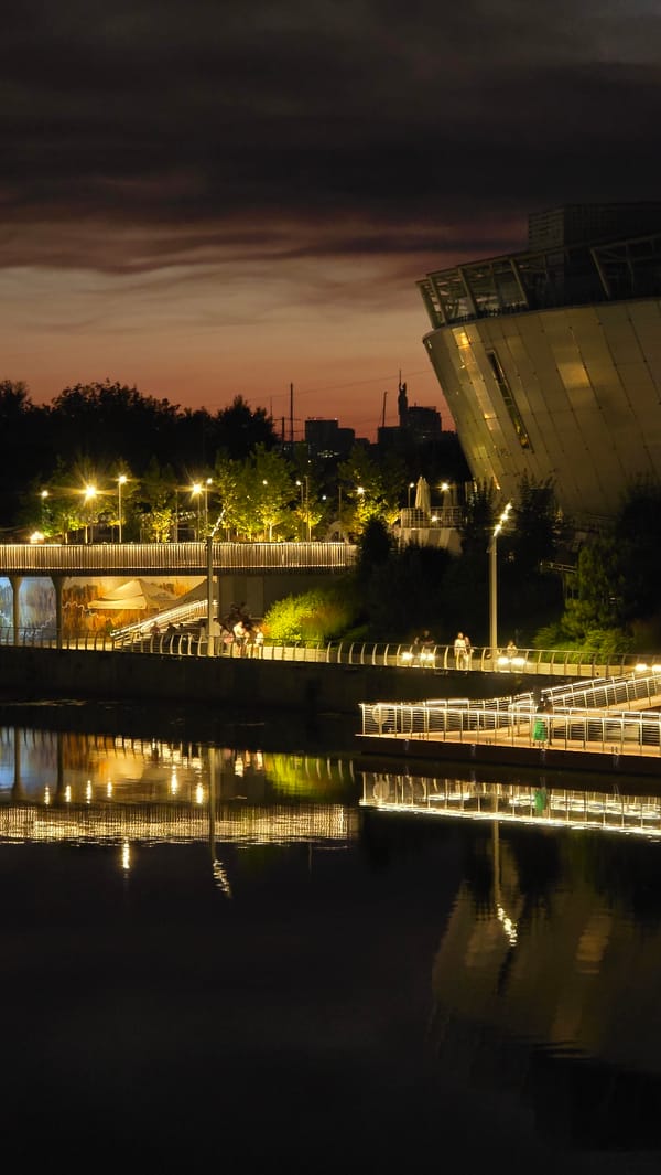 Summer evening on the Kyiv waterfront, flowers and reflections