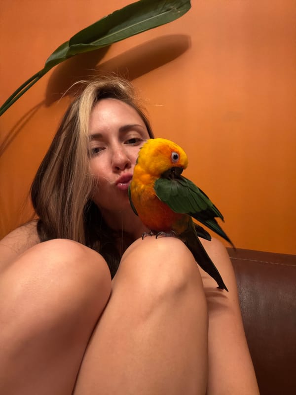 Woman with parrot, three-wheeler rider documented in separate incidents