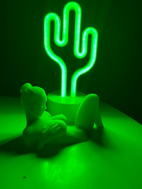 Neon cactus light anchors an eclectic indoor still-life session