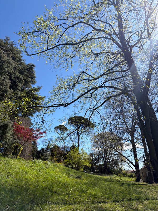 Spring scenes and work schedules captured in Erba, Italy