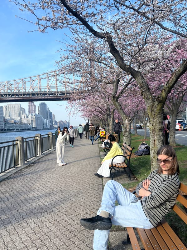 Women pose by East River during cherry blossom bloom
