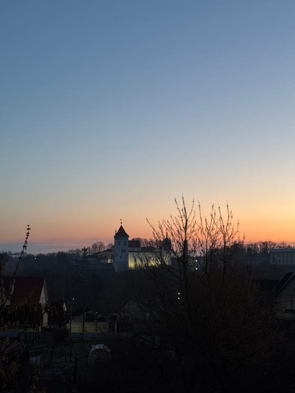 Dawn scenes captured in Hrodna: cityscape and dog in frost