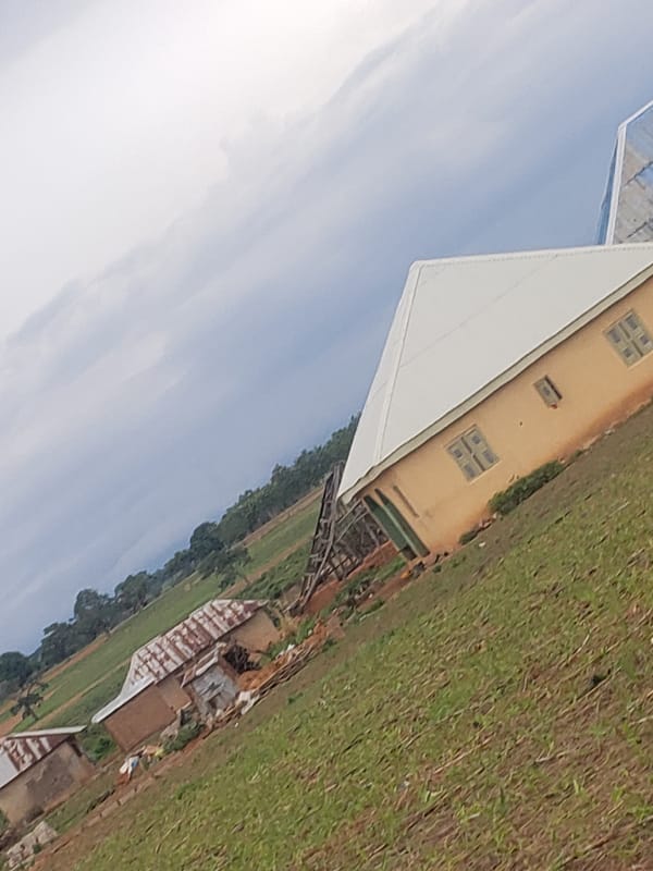 Rural scenes and palm-lined stone structures documented