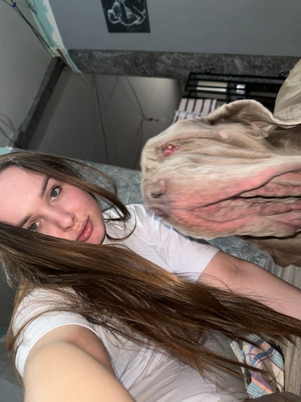 Woman shares intimate moments with large wrinkled dogs indoors