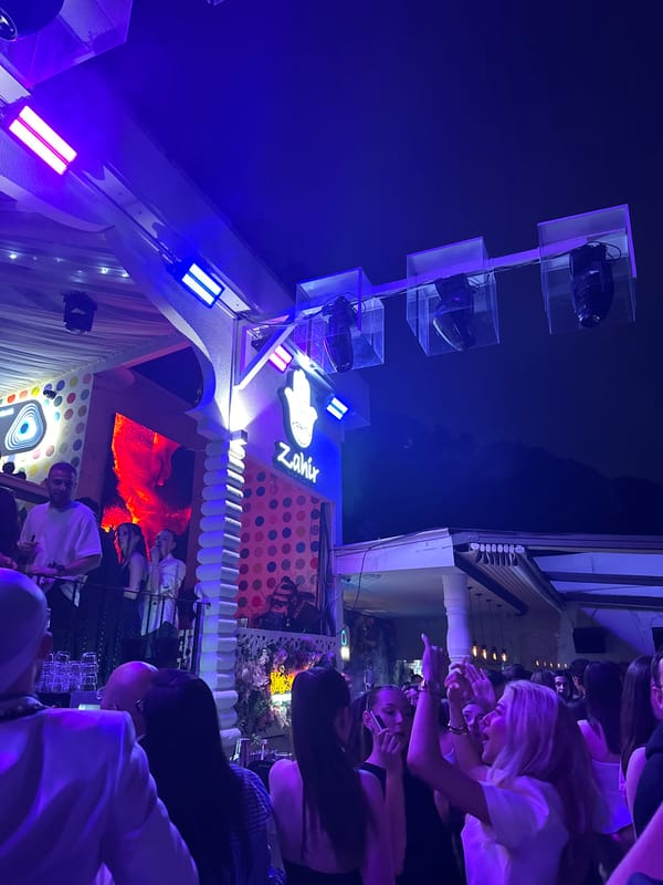 Nighttime bar gathering with dancing under colored lights documented