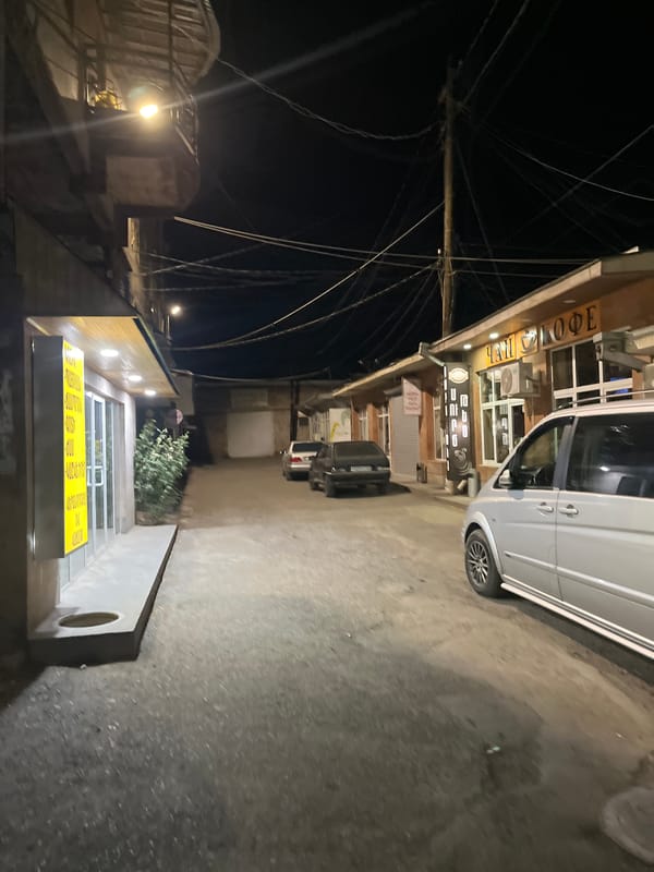 Police presence, stray dogs, and parked cars on an Armenian street at night.