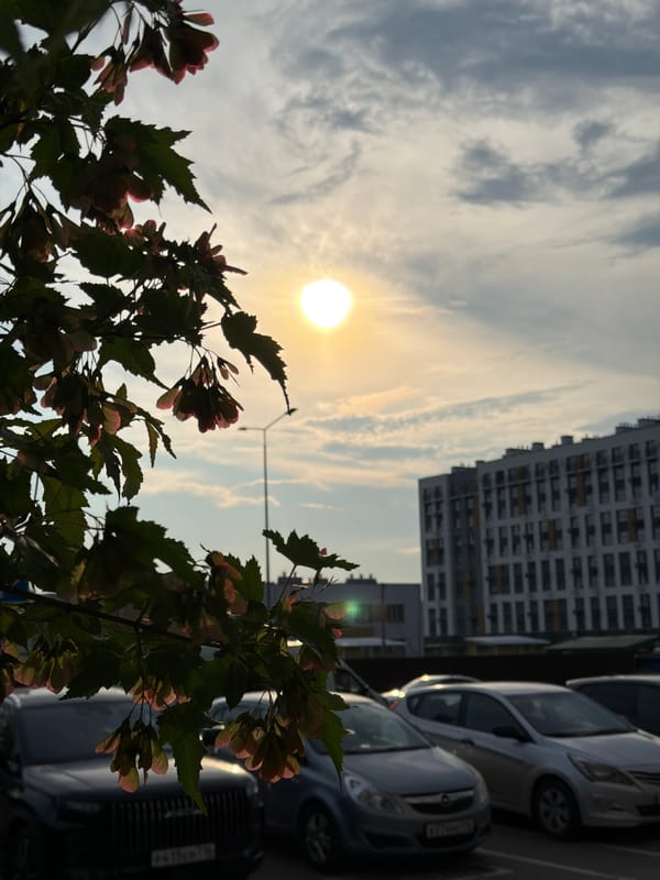 Summer nature and city scenes near a Day of Youth 2026 stadium