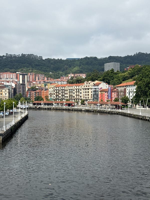 Afternoon tour of Bilbao's historic landmarks and streets