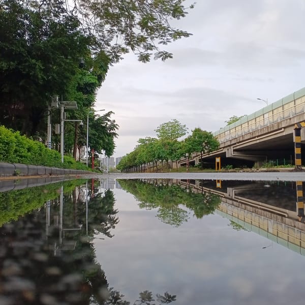 Rain-soaked streets and blooming flowers documented in Shunde District