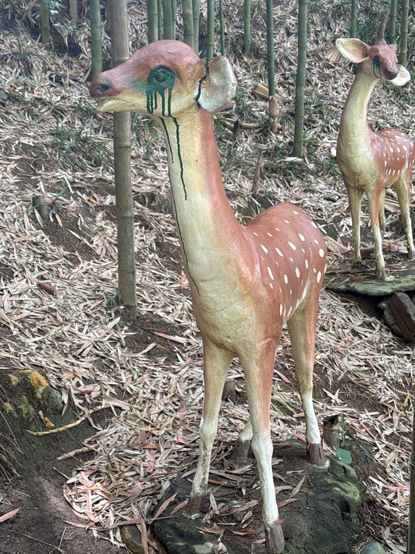 Wildlife and decorative animals spotted in Ngã Ba Kim