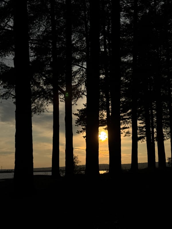Golden hour memories along Kama River in Chaikovsky, Russia